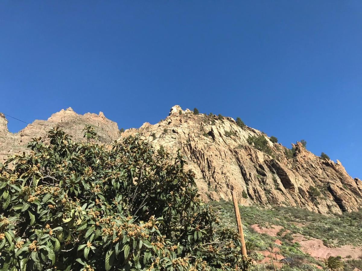 Finca La Sabina Risco Blanco Екстериор снимка